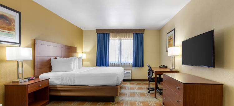 基瓦贝斯特韦斯特酒店(Best Western Kiva Inn)图片