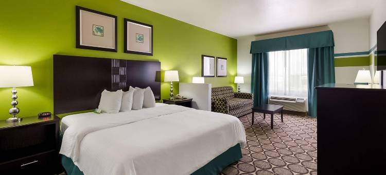 道格拉斯贝斯特韦斯特酒店(Best Western Douglas Inn  Suites)图片