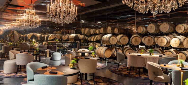 高迪城堡酒店(Château de la Gaude)图片