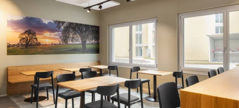 bsmart汽车旅馆阿姆里斯维尔(B_Smart Motel Amriswil)图片