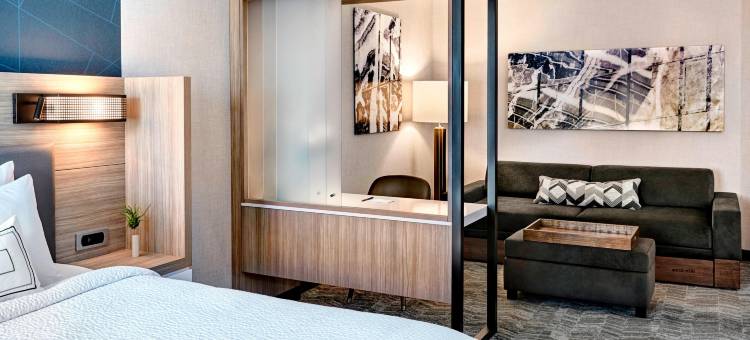 奥兰治县亨廷顿海滩SpringHill Suites酒店(SpringHill Suites Huntington Beach Orange County)图片