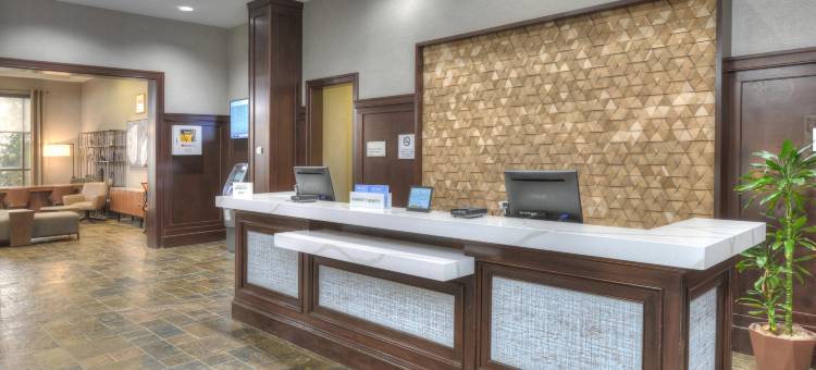 巴尔的摩华盛顿机场喜来登酒店-I(Sheraton Baltimore Washington Airport Hotel - BWI)图片