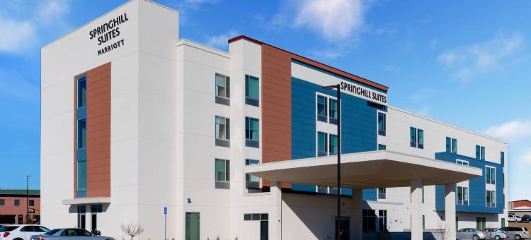 哥伦比亚SpringHill Suites酒店(SpringHill Suites Columbia)图片