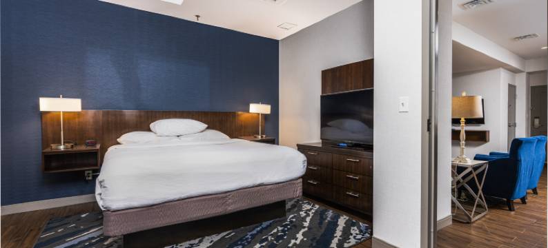 印第安纳波利斯市中心希尔顿安泊酒店(Embassy Suites by Hilton Indianapolis Downtown)图片