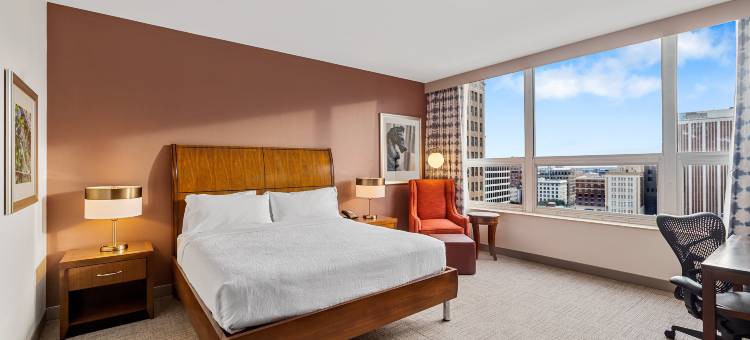 新奥尔良法国区希尔顿花园酒店(Hilton Garden Inn New Orleans French Quarter/CBD)图片