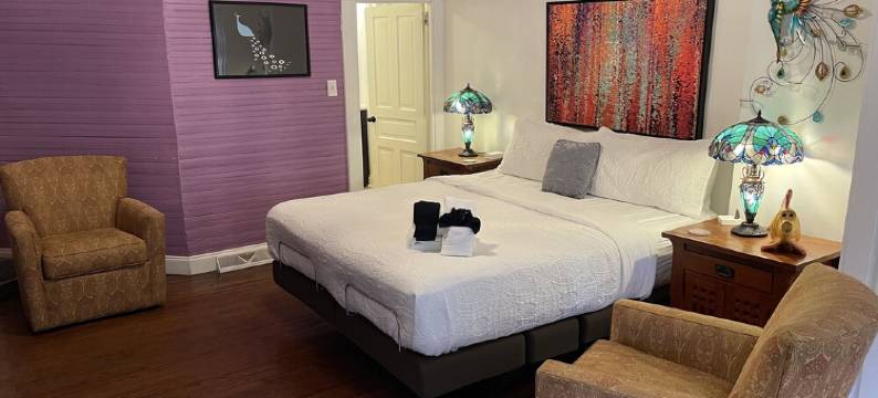 CLOSE TO DOWNTOWN- The Peacock Retreat- Dogs Stay Free图片