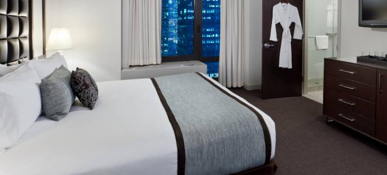 纽约市区酒店，希尔顿启缤精选(Distrikt Hotel New York City, Tapestry Collection by Hilton)图片