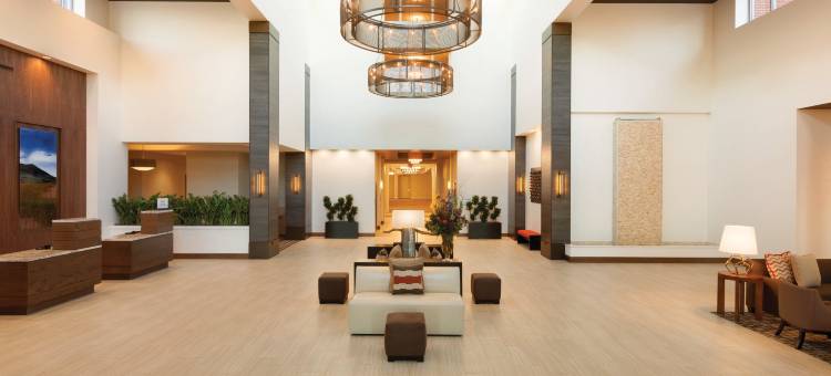 俄克拉何马城市区医疗中心希尔顿安泊酒店(Embassy Suites by Hilton Oklahoma City Downtown Medical Center)图片