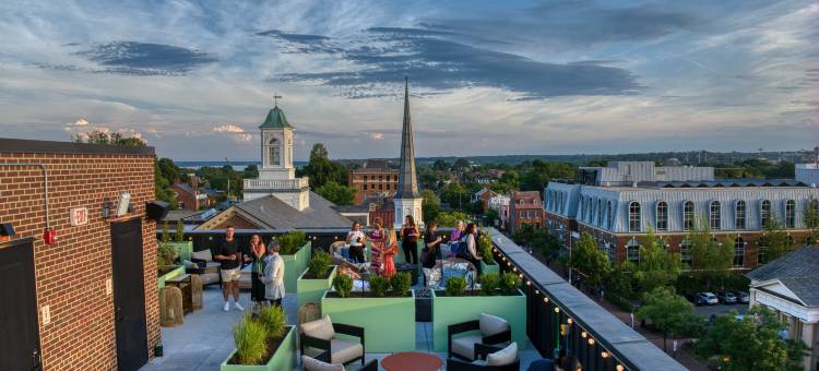 鹭酒店老城亚历山德里亚(Hotel Heron Old Town Alexandria)图片