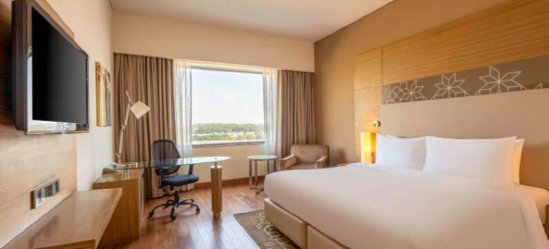 古尔冈优迪格豪尔丽筠酒店(Radisson Gurugram Udyog Vihar)图片