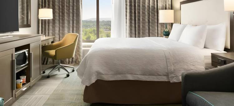 希尔顿欢朋酒店-雷丁怀俄米兴(Hampton Inn Reading/Wyomissing)图片