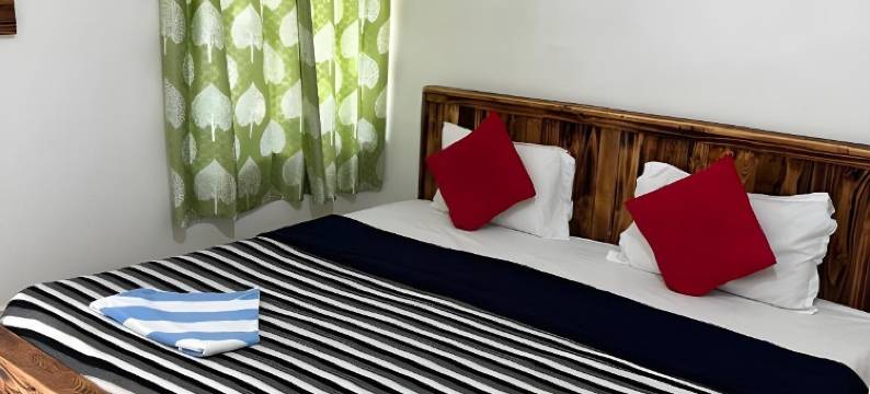 Grand Royale Cottage Anjuna图片