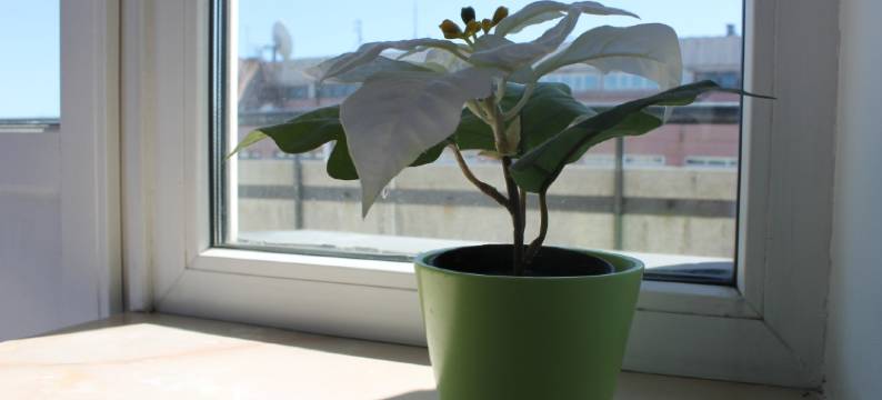 V Tsentre Mini-Hotel图片