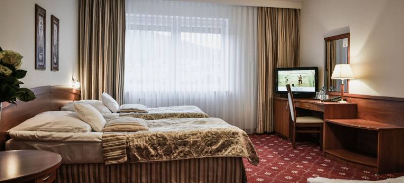 法尔图姆温泉酒店(Hotel Spa Faltom Gdynia Rumia)图片