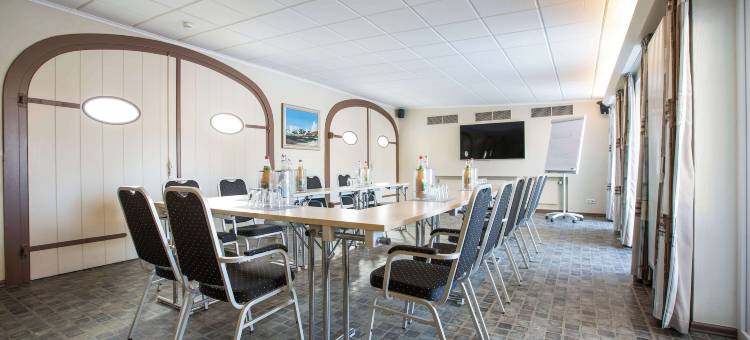 Best Western Plus Theodor Storm Hotel图片