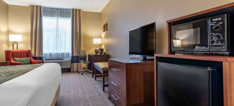 舒适酒店(Comfort Inn Amite)图片