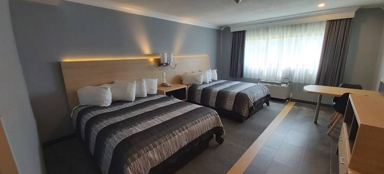 美洲水上乐园水疗度假村(Americana Waterpark Resort & Spa)图片