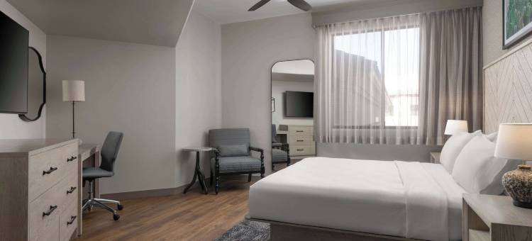 图森帕洛马村希尔顿安泊套房酒店(Embassy Suites by Hilton Tucson Paloma Village)图片