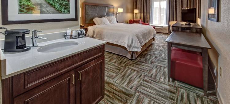 希尔顿欢朋酒店-纽伯里歌剧院(Hampton Inn Newberry-Opera House)图片