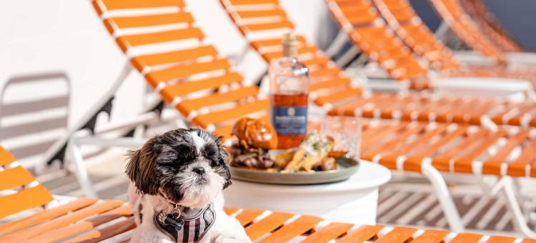 路易斯维尔万怡希尔顿启缤精选酒店(The Myriad Hotel Louisville, Tapestry Collection by Hilton)图片