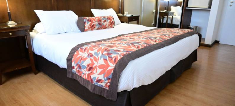 门多查酒店(Hotel Mendoza)图片