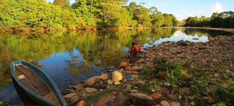 斯奇帕克卡里丛林小屋(Suchipakari Jungle Lodge)图片