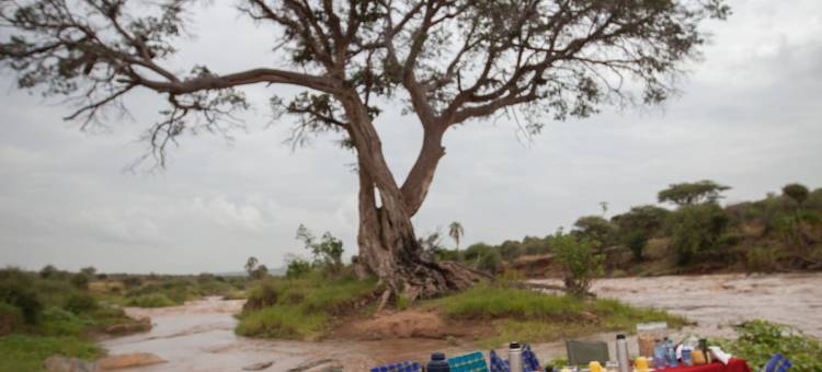 艾勒瓦纳路易沙巴帐篷露营酒店(Elewana Loisaba Tented Camp)图片