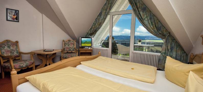 黑森林胡法酒店(Jufa Hotel Schwarzwald)图片