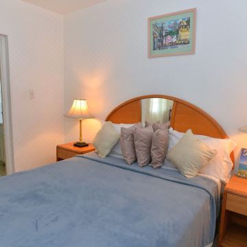 棕榈景家庭旅馆及会议中心(Palm View Guesthouse and Conference Centre)图片