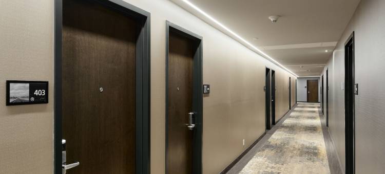 希尔顿欢朋套房酒店-魁北克市圣罗穆亚尔德(Hampton Inn & Suites by Hilton Quebec City Levis)图片