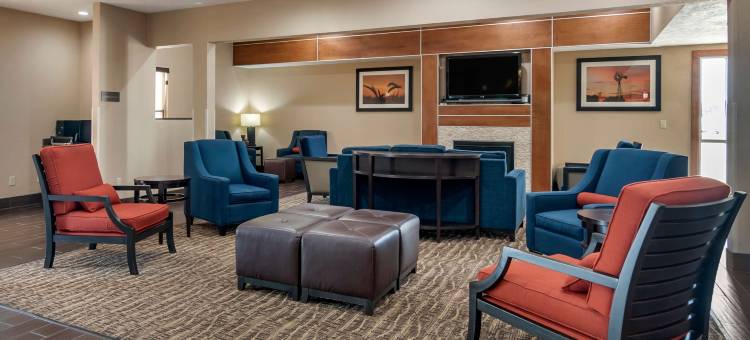 章克申城舒适套房酒店-近莱利堡(Comfort Inn & Suites Junction City - Near Fort Riley)图片