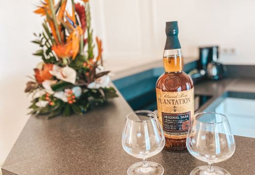 Hotel la Plantation Hotel Overview