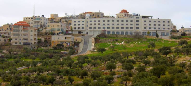 塔耶贝斯皇品时尚旅店(Taybeh Golden Hotel)图片