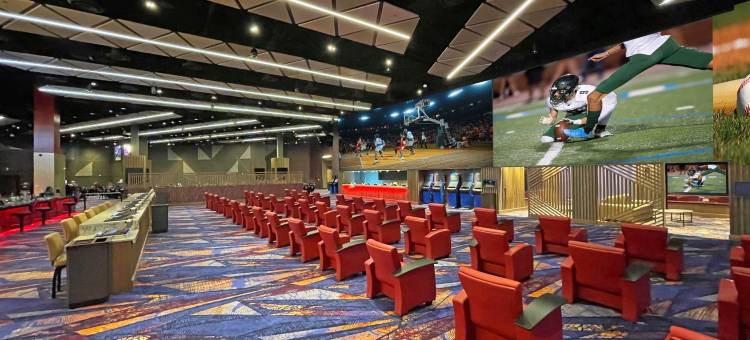 切罗基汉拉度假村 - 凯撒奖励目的地(Harrah's Cherokee  – A Caesars Rewards Destination)图片