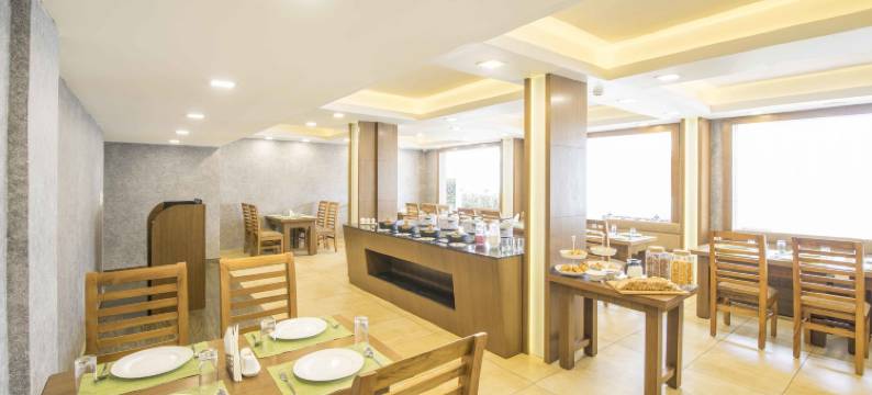 柯钦希德拉原始门廊大厅酒店(Sidra Pristine Hotel and Portico Halls)图片