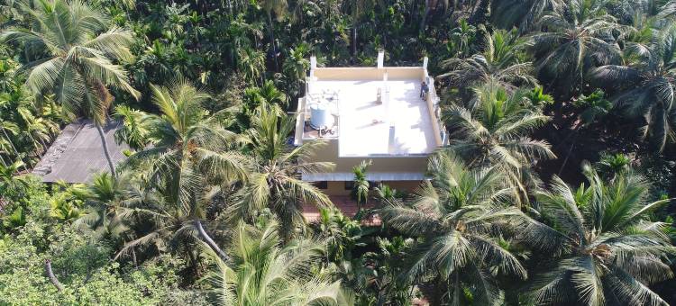 阿雷卡棕榈酒店(Areca Palms)图片