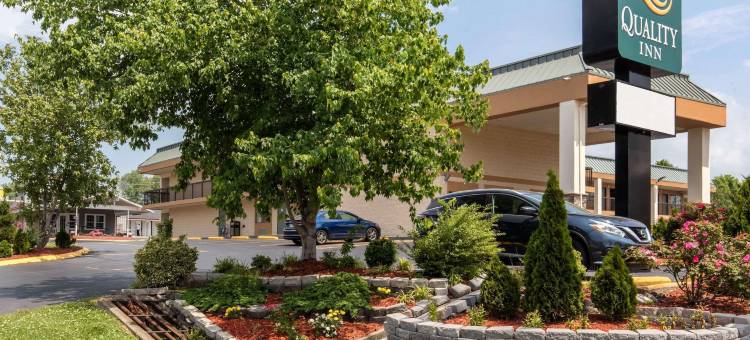 金斯顿斯普林斯品质酒店(Quality Inn)图片