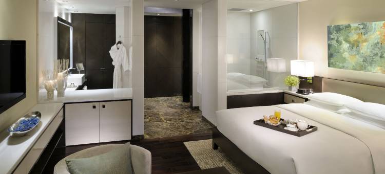 海得拉巴柏悦酒店(Park Hyatt Hotel and Residences, Hyderabad)图片