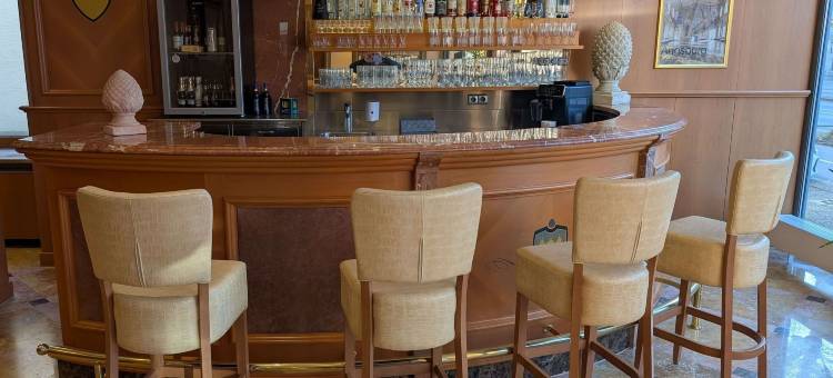 奥格斯堡斯塔德特酒店(Stadthotel Augsburg)图片