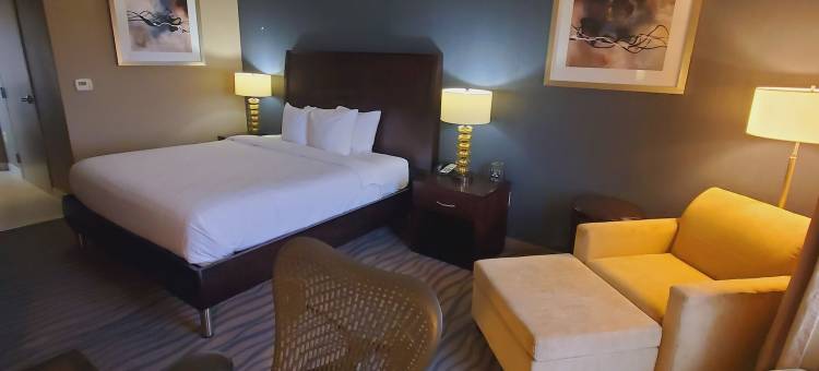 沃斯堡联盟机场希尔顿花园酒店(Hilton Garden Inn Fort Worth Alliance Airport)图片