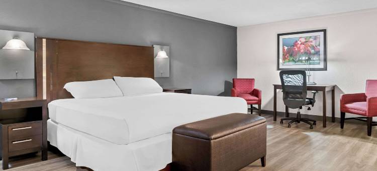 罗德威套房酒店(Rodeway Inn & Suites)图片