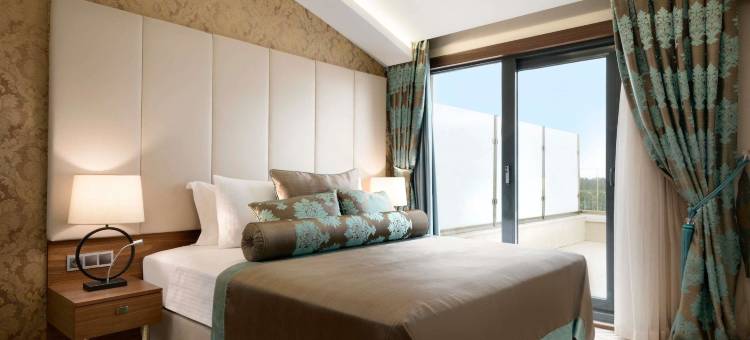 亚洛瓦温德姆华美达酒店(Ramada by Wyndham Yalova)图片