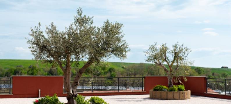 马尔非萨农场酒店(Il Podere di Marfisa)图片