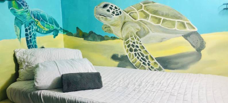 开普胶囊旅馆(Cape Capsules)图片