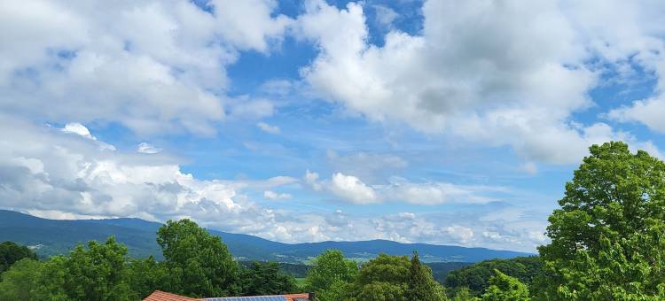布赖滕贝格霍夫公寓酒店(Breitenberger Hof "inklusive Frühstück")图片