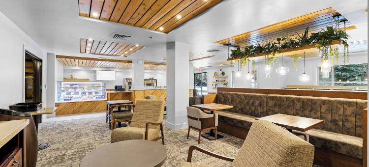 常青酒店(The Evergreen Hotel)图片