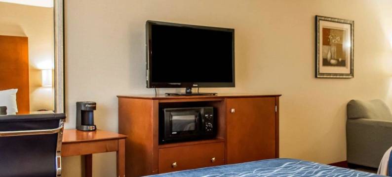 富兰克林东部舒适套房酒店(Comfort Inn & Suites Franklin East)图片