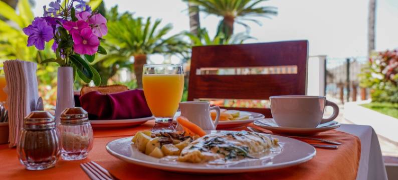 瓦拉塔港热带酒店(Tropicana Hotel Puerto Vallarta)图片