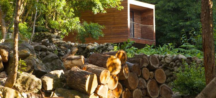 卡帕里卡阿佐雷斯生态小屋旅馆(Caparica Azores Ecolodge)图片