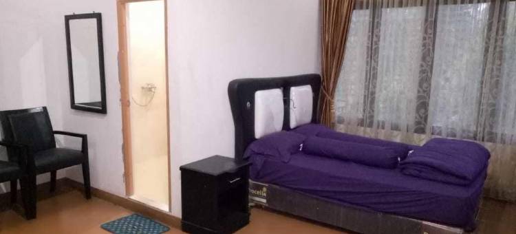 苏门答腊阿欧戴尔斯邓波帕加阿拉姆别墅酒店(Aldeoz Dempo Pagar Alam Villa Sumsel)图片